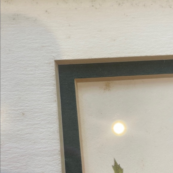 Framed Botanical Rose Art Print - Picture 4 of 4